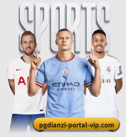 每个板块围绕一个运动项目展开(pgdianzi)
