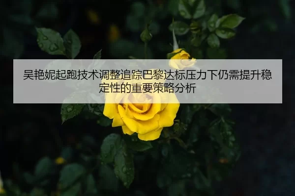 吴艳妮起跑技术调整追踪巴黎达标压力下仍需提升稳定性的重要策略分析