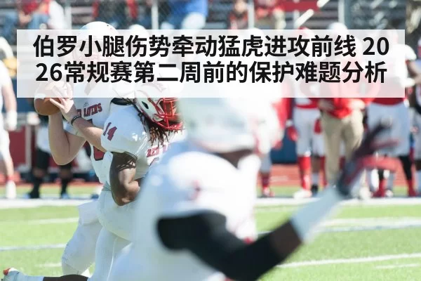 American football quarterback dropping back to pass